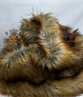 Bild 33 von 82