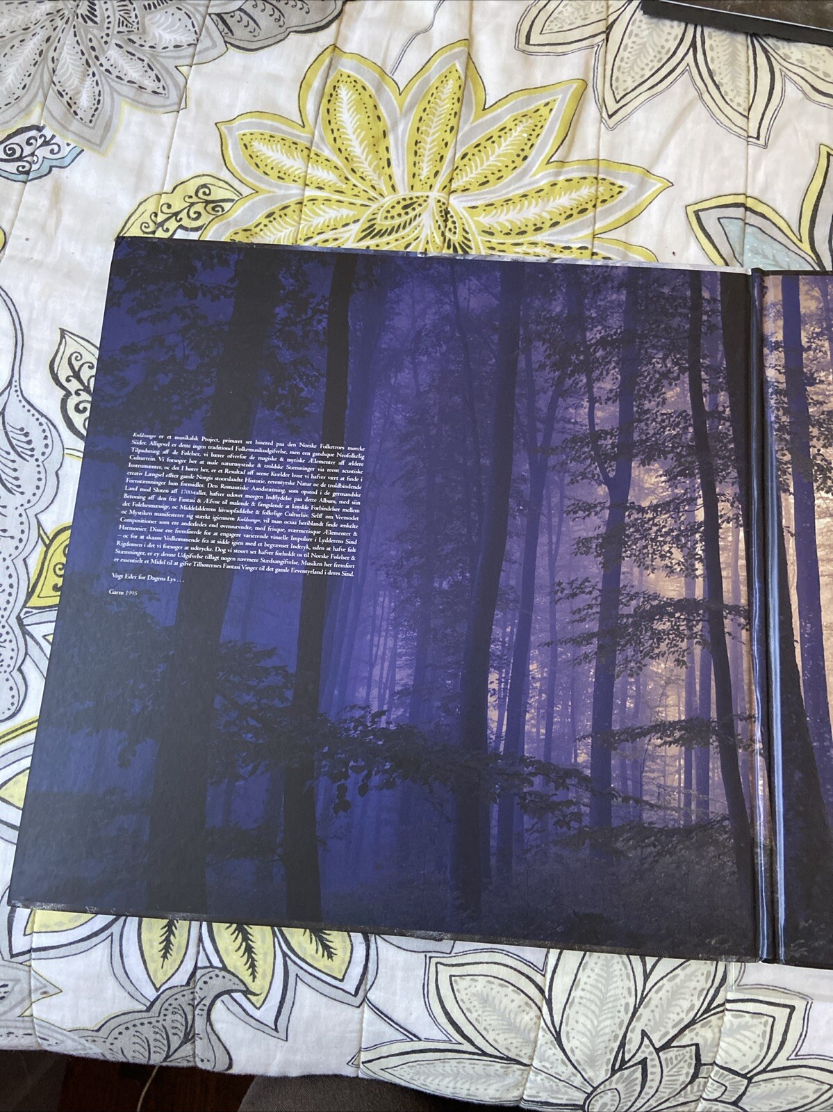 Picture 2 of 7