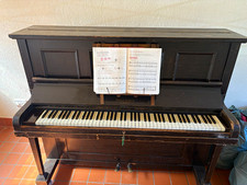 Piano Black/Ebony Finish 88 Keys 2 Pedals