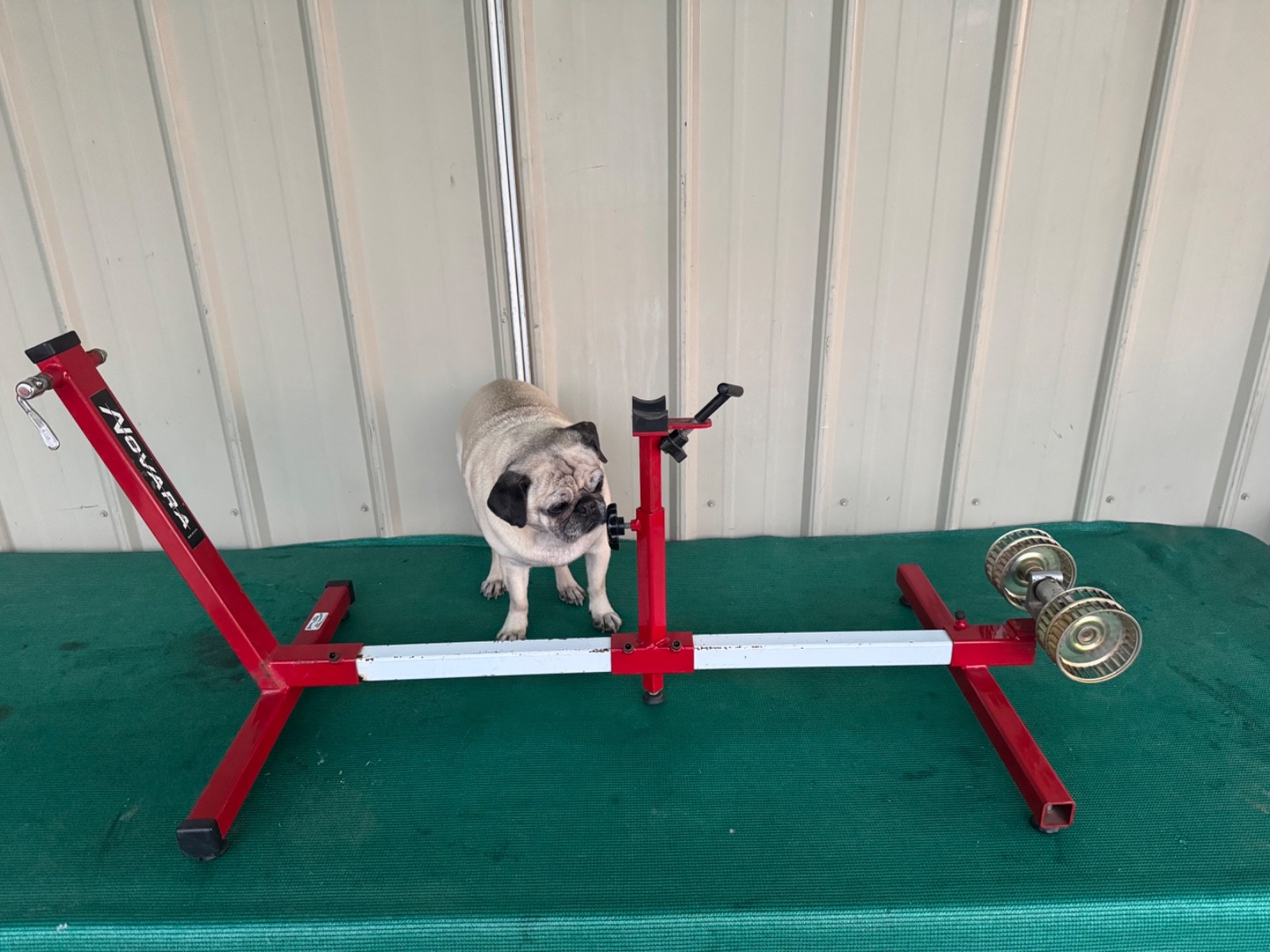 (Used) 1980's Novara Indoor Bike Wind Trainer Heavy Duty Red and White Made in USA (97.00 USD) (Used) 1980's Novara Indoor Bike Wind Trainer Heavy Duty Red and White Made in USA (97.00 USD)