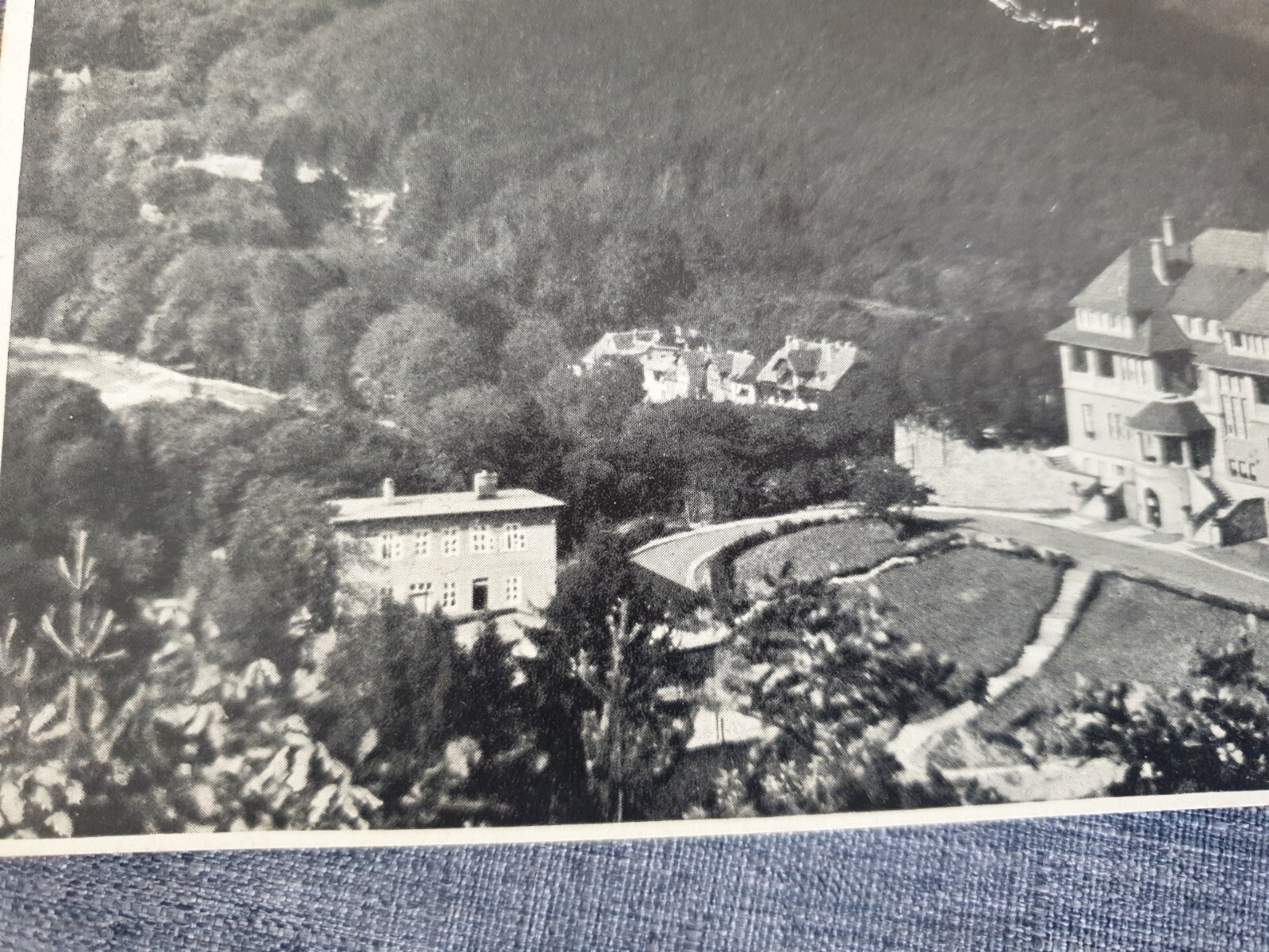 Picture 6 of 11