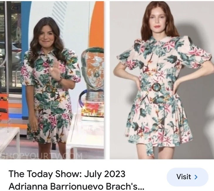 (Sin cinturón) Vestido Camisa Walter Baker Tyanna Rubor Azalea L Foto 3 de 4