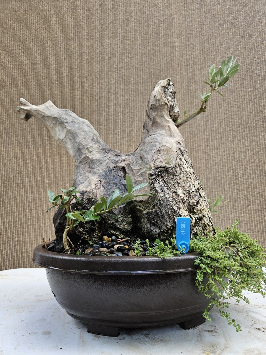 kakemono TRADMAN’S カケモノ oldmountain kakemono-tradmans - OLD MOUNTAIN OFFICIAL