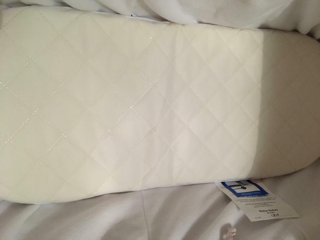 bizzi growin moses basket