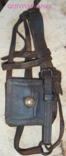EQ3000 - Filet ancien - licol - oeillères - WW1 US army