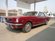 1966 Ford Mustang for Sale