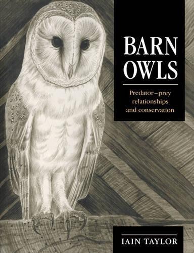 Barn Owls by Iain Taylor - 9780521545877