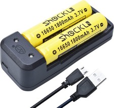 16650 Rechargeable Ni Mh Battery with Battery Charger 16650 Protected