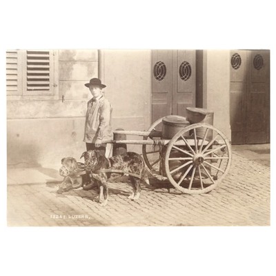 VINTAGE PHOTO - YOUNG MAN W (2) DOGS PULLING MILK CART LUZERNE SWITZERLAND