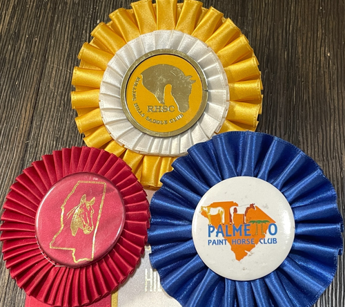 Lot 10 horse show ribbons rosettes crafts Race Watch Party Decor GA SC Clubs - 第 8/12 張圖片