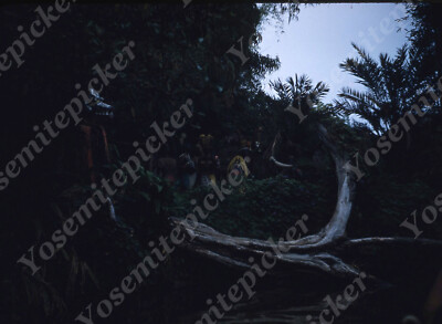 SL89 Original slide 1960's Disneyland safari ride tribe 059a