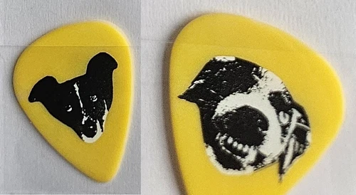 Image: https://i.ebayimg.com/images/g/bMIAAOSwSptoI0Pa/s-l500.webp Pearl Jam pick Jeff Ament Pick Yellow Lost Dogs pick SUPER RARE - Picture 1 of 1