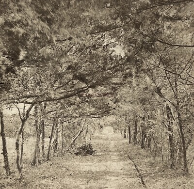 USA US Lovers  Lane West Stelle c1900 Foto Stereo Vintage