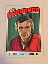 1976-77 Topps #160 Ed Giacomin  Detroit Red Wings New York Rangers HOF