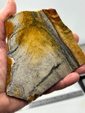 Disaster Peak Picture Jasper Slab Cabbing Lapidary Collecting Combo Ship Avail