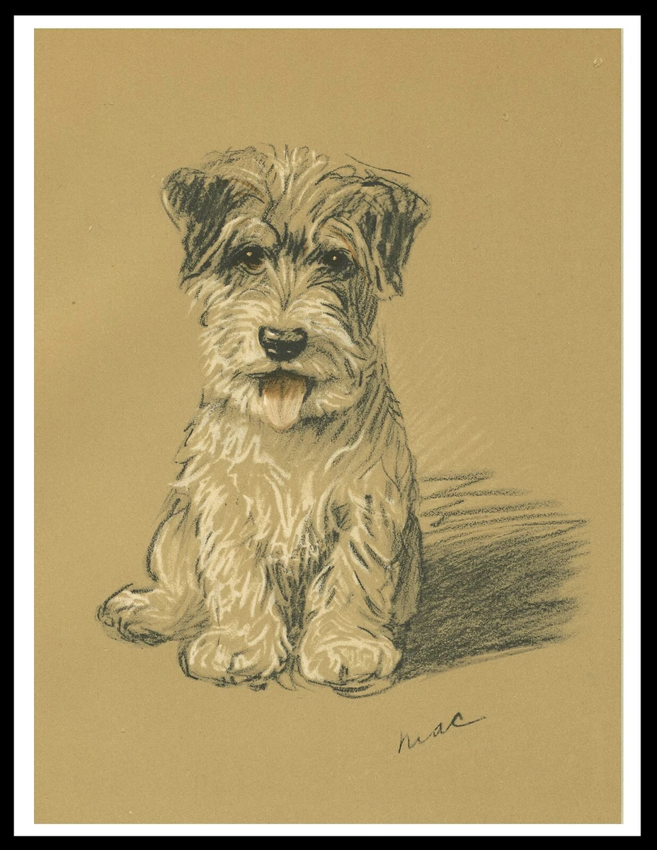 Jack russell terrier artwork 2025