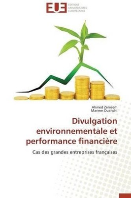 Collectif Divulgation Environnementale Et Performance Financi�re (Taschenbuch)
