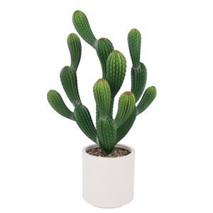 Kaktus Knstlich Gro | eBay.de