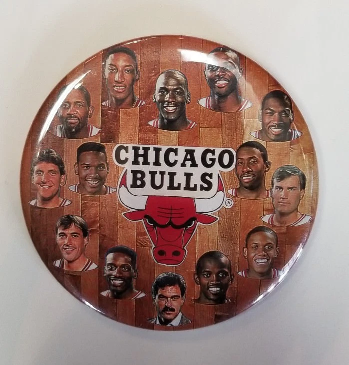 Lote de 9, 1990-91 Chicago Bulls NBA Champs equipo foto pin botón Michael Jordan  Foto 2 de 3