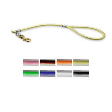 2 ft Cable Bully Leash