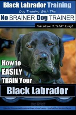 Black Labrador Training With The No Brainer Dog Trainer We Make It That Eas...