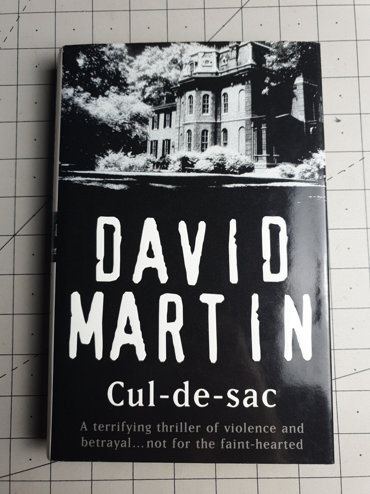 Cul-De-Sac David Martin 1997 Hardback Book