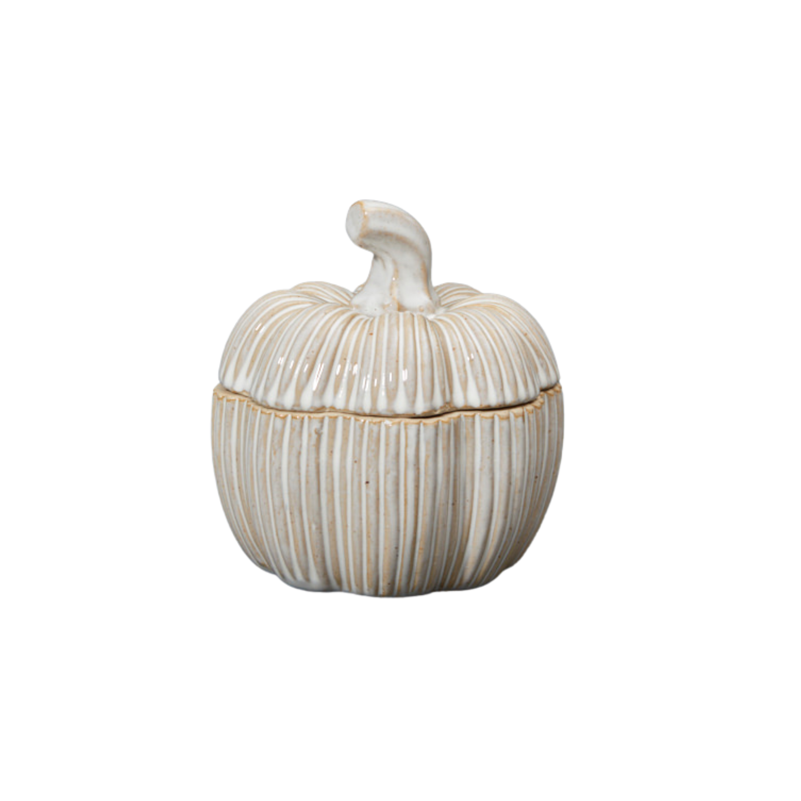 Decorative Ceramic Pumpkin Pot 12.5cm