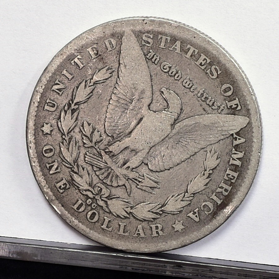 Picture 6 of 8