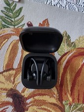 Beats by Dr. Dre Powerbeats Pro In Ear Wireless Headphones - Black