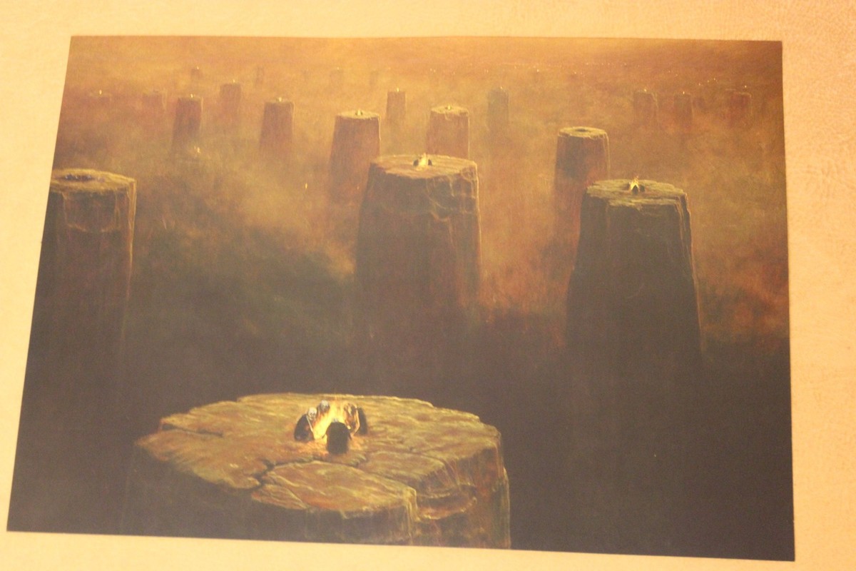 アート・デザイン・音楽 Zdzislaw Beksinski Fotografia + DVD Zdzislaw Beksinski Fotografia + DVD