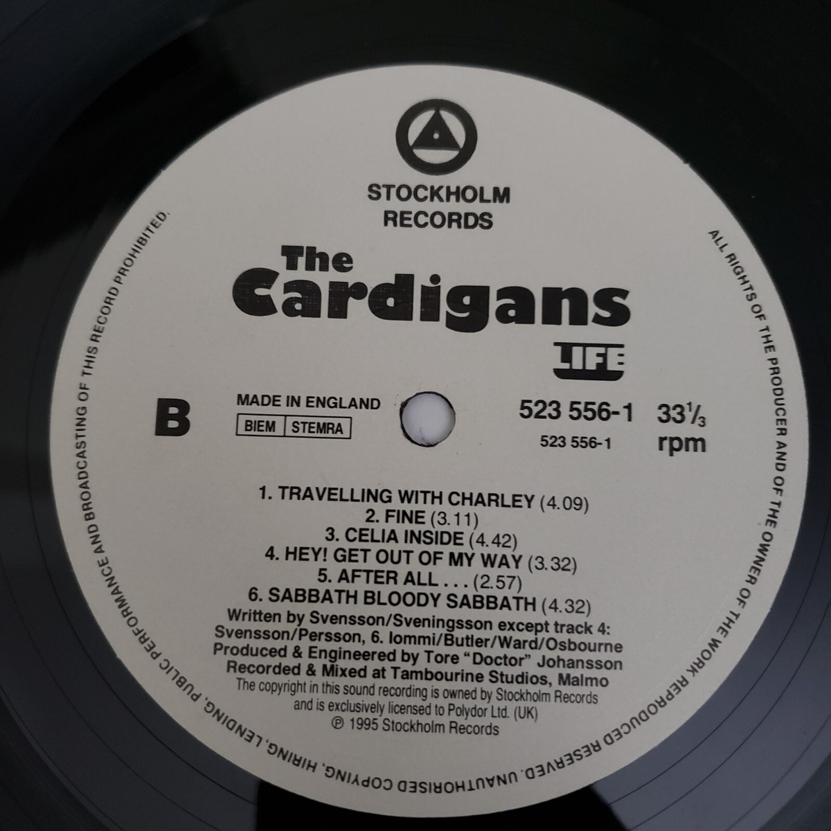 Cardigansカーディガンズ/LIFE 95年 LPレコード The Cardigans 
