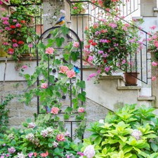 Image of Tall Heavy Duty Garden Fence Backyard Wrought Iron Climbing Trellis Border Decor