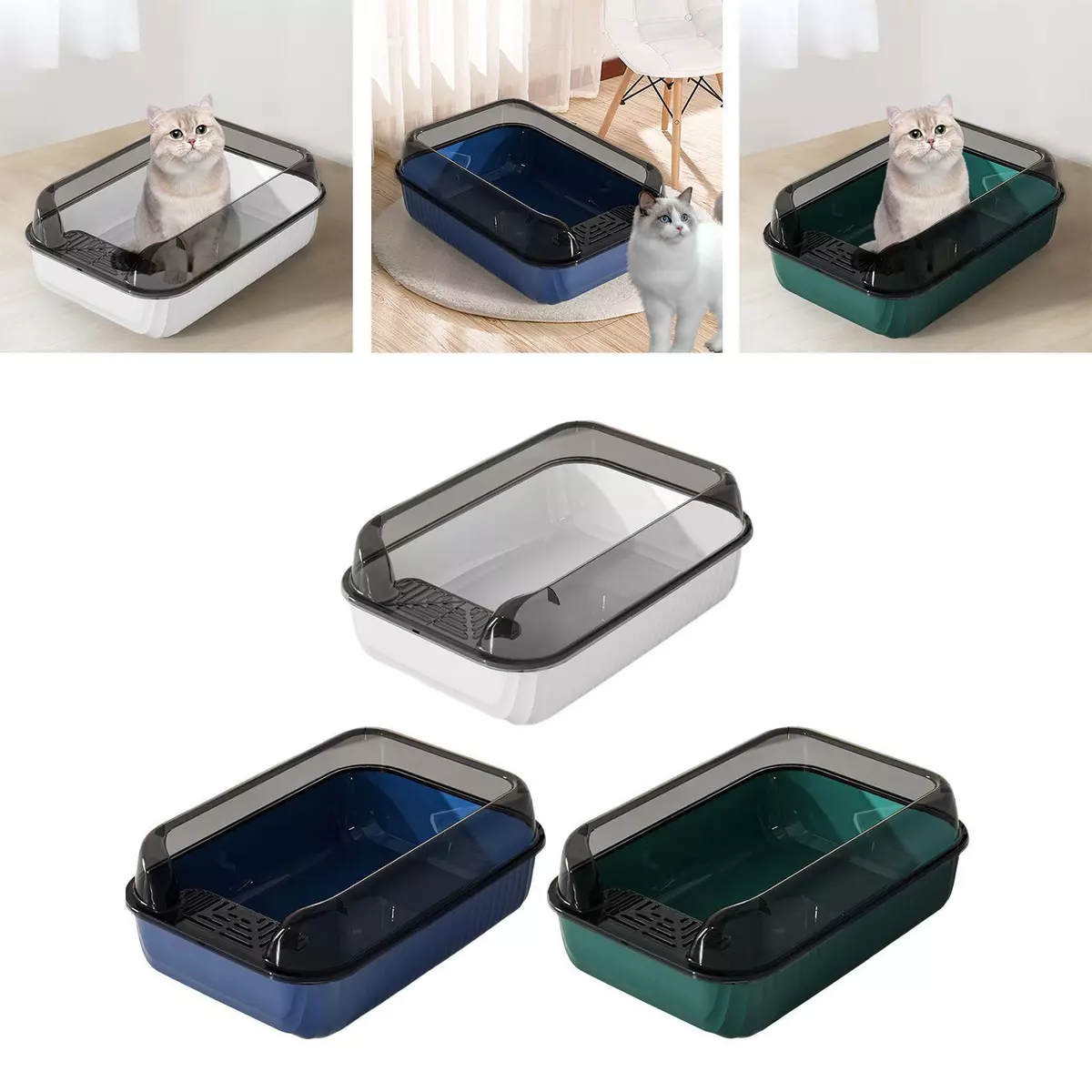 Open top litter top box with shield