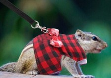 RAT PET HARNESS GUINEA PIG RABBIT RODENT HARNESS LEAD TARTAN UK SELLER