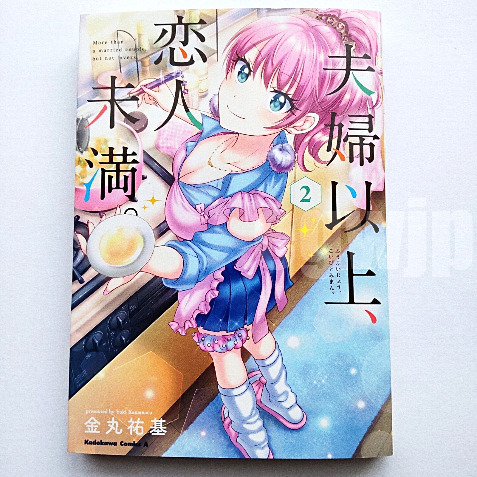 Fuufu Ijou, Koibito Miman Vol.10 - Yuki Kanamaru / Japanese Manga Book  Japan New