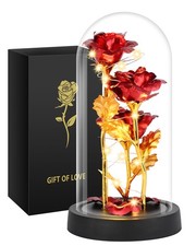 Gifts for Mom,Womens Gift for Mothers Day Birthday Light Up Rose in A Glass Dome