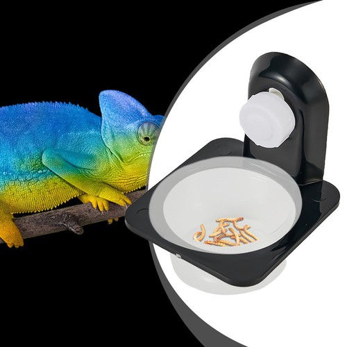 ABS Reptile Tank Food Water Feeding Bowl Holder Dish Multiple Options Available - Picture 7 of 60