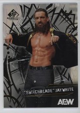 2025 SP Game Used AEW Rainbow 8/25 Switchblade Jay White #30 09q5