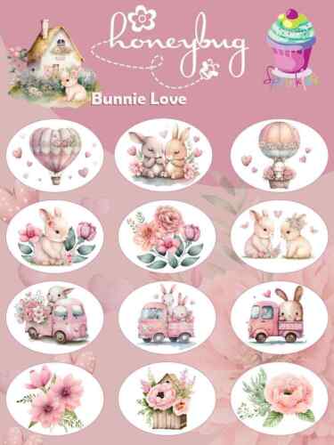 Honeybug Bunnie Love Sprinkles Sweetheart Pacifier-Dummy Stickers Reborn Baby - Picture 1 of 2