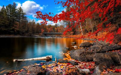 Anime fall nature lake landscape water bridge trees Play Gaming Mat Desk