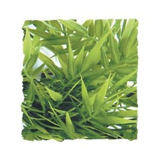 Zoo Med BU-29 Medium Madagascar Kunststoffpflanze Terrarium Dekoration