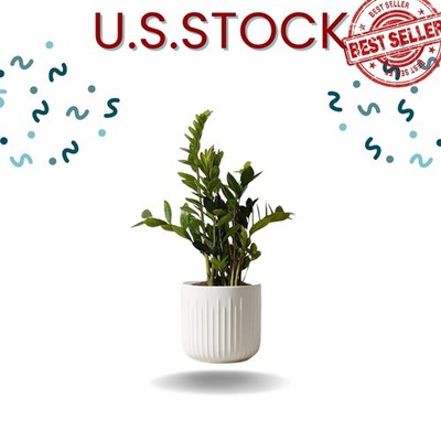 Fluted ceramic planters set of 3, white indoor plant pots with drainage