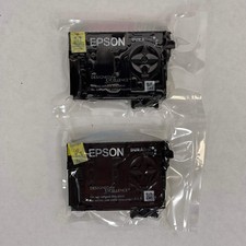 New Epson 252 Cyan and Magenta Ink Cartridge