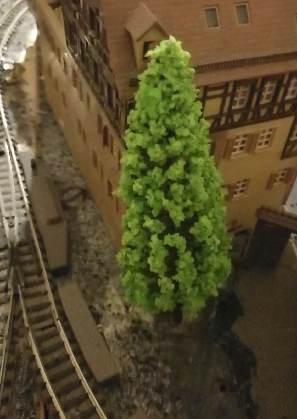 Picture 8 of 12