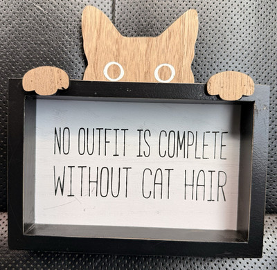 No Outfit Is Complete Without Cat Hair Cat-Themed Block Sign