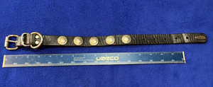 Vintage |  Dogla dog collar with Buffalo nickels