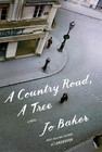 A Country Road, A Tree von Jo Baker (2016, Taschenbuch)