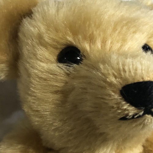 STEIFF Bear LIMITED EDITION Signed by DICK FRANTZ 1999 569/1500 - Picture 18 of 20