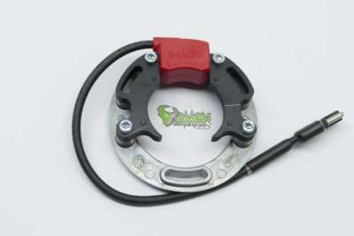 Selettra Stator KZ System mit 2200 Windungen 90 mm Go Kart  Malossi PVL Ignition