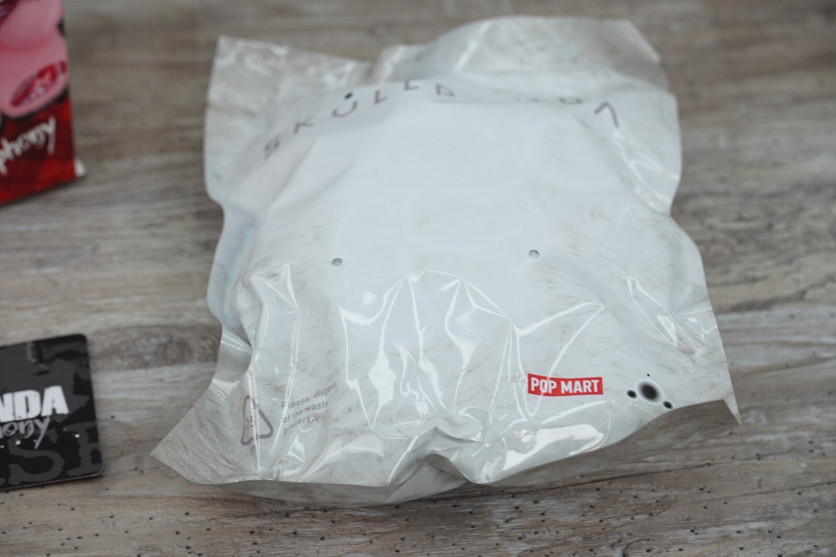 Pop Mart x Skullpanda Winter Symphony Series Plush OPEN BOX